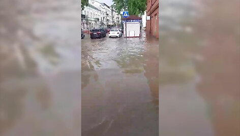 pavasarine-liutis-kaune-uztvinde-miesto-centra