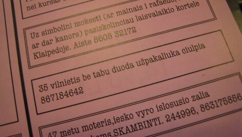 Įkrauk.lt nuotrauka