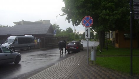 Įkrauk.lt nuotrauka