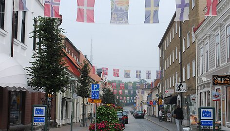 &Scaron;vedija