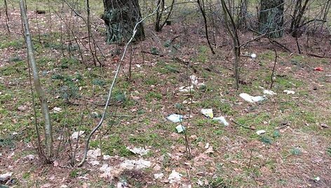 Balsių mi&scaron;kelio tvarkymas