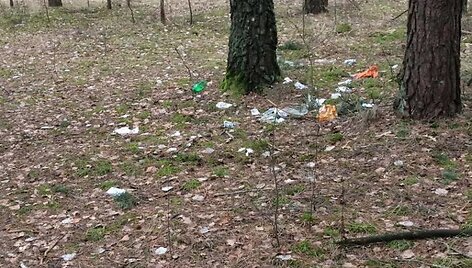 Balsių mi&scaron;kelio tvarkymas