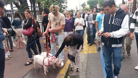 Pasivaikščiojimas Kanuose