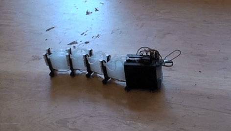 Masačiusetso technologijų instituto mokslininkų sukurtas robotas-gyvatė
