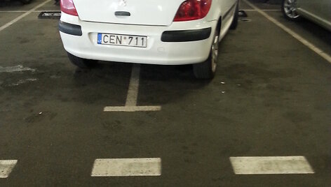 Vairuotojų sugebėjimai Kaune