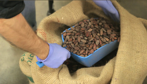 &bdquo;Chocolate Naive&ldquo;: nuo&scaron;irdus naivumas sukūrė aukso vertą &scaron;okoladą