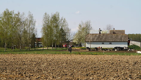 Įvykio vietoje