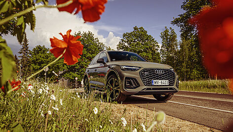 &bdquo;Audi Q5 Sportback&ldquo;
