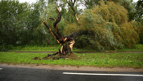 Audros padariniai Panevėžyje