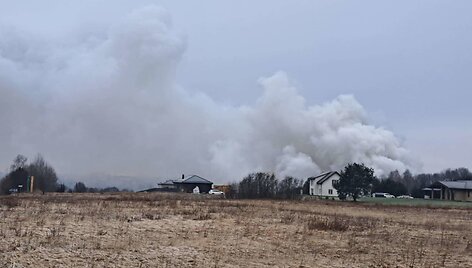 Lentpjūvės gaisras prie Gargždų