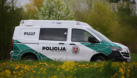 Avarijos vietoje