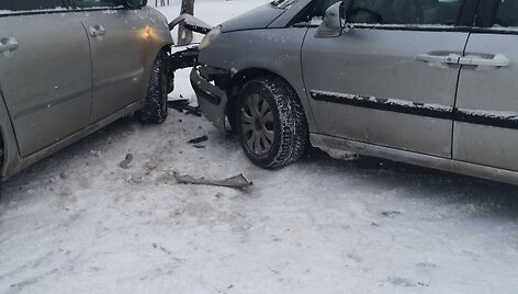 Avarija Pelkių ir Garažų gatvėje