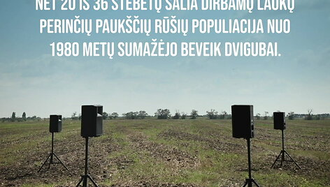 kaip-atrodytu-musu-laukai-be-pauksciu-ir-ka-galime-padaryti-kad-juos-issaugotume