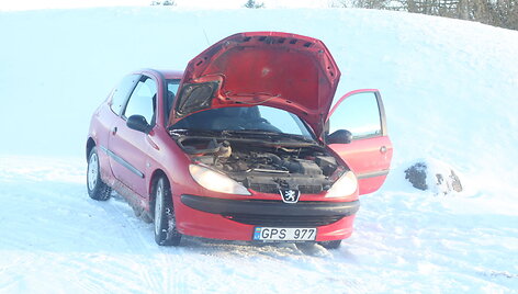 Loterijoje laimėtas &bdquo;Peugeot 206&ldquo;
