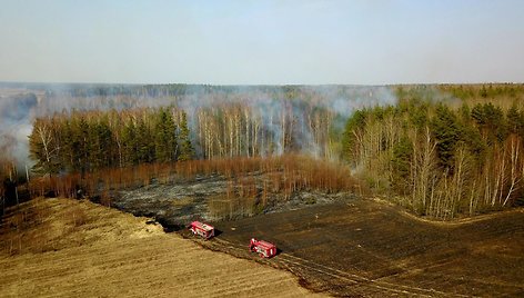 Netoli Eišiškių nuo degančios žolės gaisras įsimetė į mišką