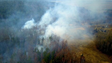 Netoli Ei&scaron;i&scaron;kių nuo degančios žolės gaisras įsimetė į mi&scaron;ką
