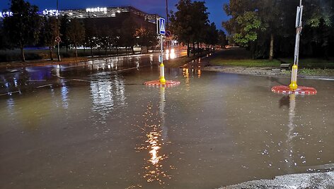 Liūtis &Scaron;iauliuose