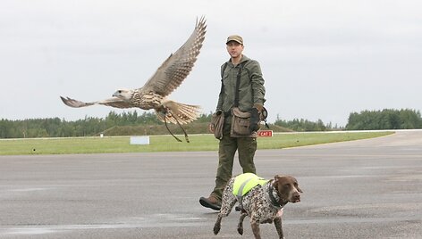 Sakalų treniruotė NATO bazėje
