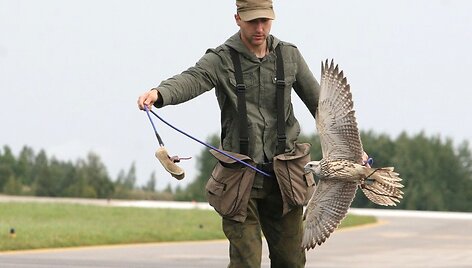 Sakalų treniruotė NATO bazėje