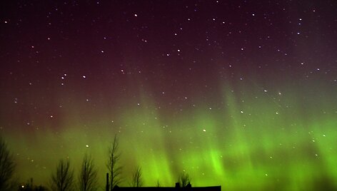 &Scaron;iaurės pa&scaron;vaistė Joni&scaron;kio rajone