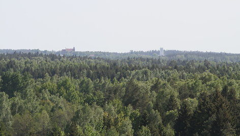 Kelionė po Tytuvėnų apžvalgos bokštus