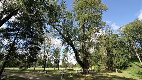 Kelionės kultūros keliais - kastinys ir akmenys Salantuose