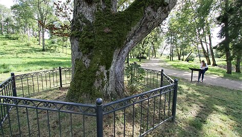 Kelionės kultūros keliais - kastinys ir akmenys Salantuose