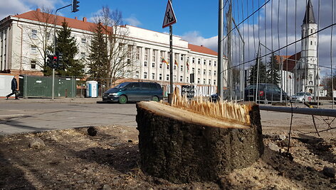 &Scaron;iauliai