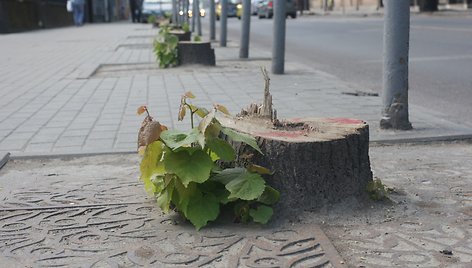 Šiaulių „Busturo“ darbuotojai mitinge reikalavo keisti bendrovės vadovybę