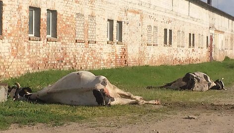 news_5b053102a17a3ffca4cc.jpg