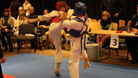 Vilniaus karate lyga 2014-03-01