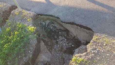 Liūtis padarė žalos estakadai