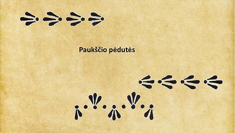 Margučių ra&scaron;tų prasmės