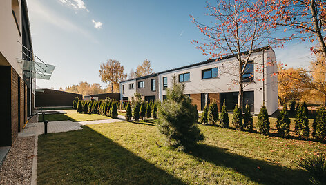 Projektas &bdquo;Cherry garden&ldquo;