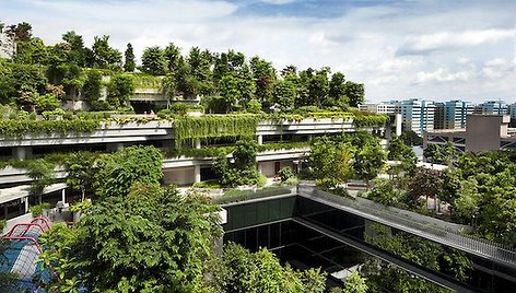 „Kampung Admiralty“ Singapūre (arch. „WOHA Architects“).