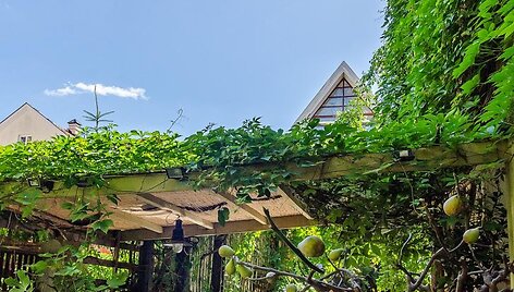 &bdquo;Newsec&ldquo; parduodamas pastatas Vilniaus senamiestyje 