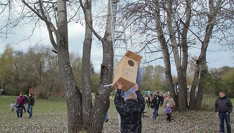 Inkilai greta daugiabučių 