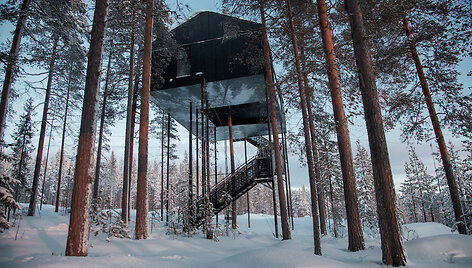 &Scaron;vedijoje veikiančiame vie&scaron;butyje &bdquo;Treehotel&ldquo; pastatytas &bdquo;7-asis numeris&ldquo;