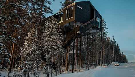 &Scaron;vedijoje veikiančiame vie&scaron;butyje &bdquo;Treehotel&ldquo; pastatytas &bdquo;7-asis numeris&ldquo;
