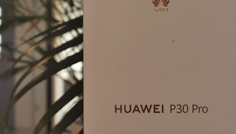 Fotografuota &bdquo;Huawei P30 Pro&ldquo;