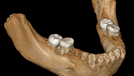 Tibeto kalnuose rastas denisoviečio žandikaulis