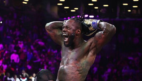 Deontay Wilderis nokautavo Robertą Heleniusą.
