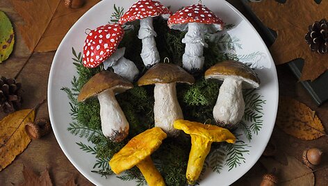 Jolantos Daubaraitės (&bdquo;Akimirkų gaudyklė&ldquo;) vatiniai grybukai