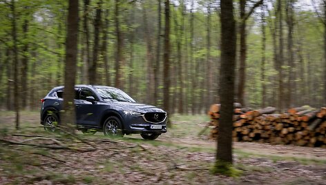 &bdquo;Mazda CX-5 3&ldquo;