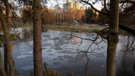 Žvėryno tvenkiniai Vilniuje