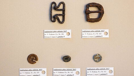 Archeologinių kasinėjimų metu Gedimino kalne aptikti radiniai