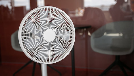 „Xiaomi SmartMi Standing Fan 2S“ išmanusis ventiliatorius