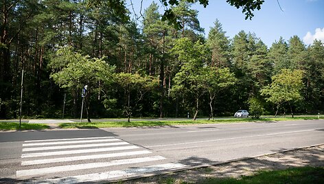 Nemenčinės plente esanti pėsčiųjų perėja, kurią ruo&scaron;iamasi panaikinti