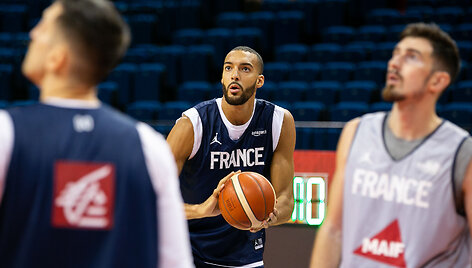 Rudy Gobert'as