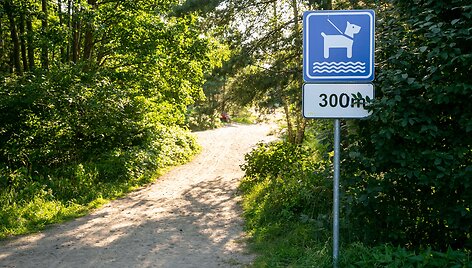 Takas link Nemirsetos &scaron;unų paplūdimio